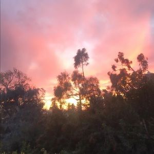 Meet your Posher, Samara